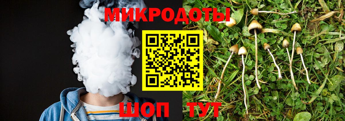 Саратов  Галлюциногенные грибы ЛСД  Псилоцибиновые грибы Psilocybe  Вход с VPN 
